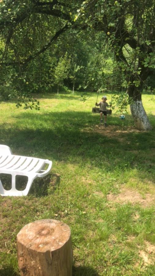 Pensiunea Felyviss Albac Bagian luar foto