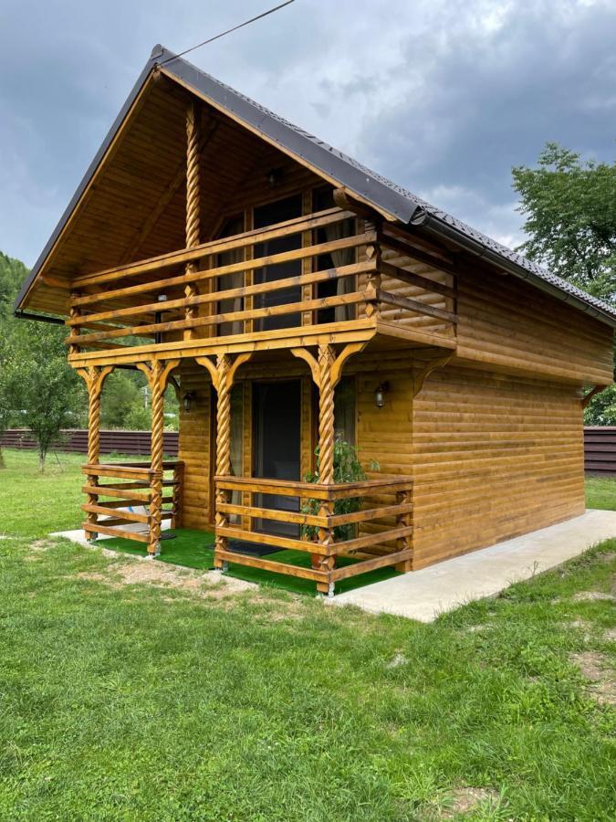 Pensiunea Felyviss Albac Bagian luar foto