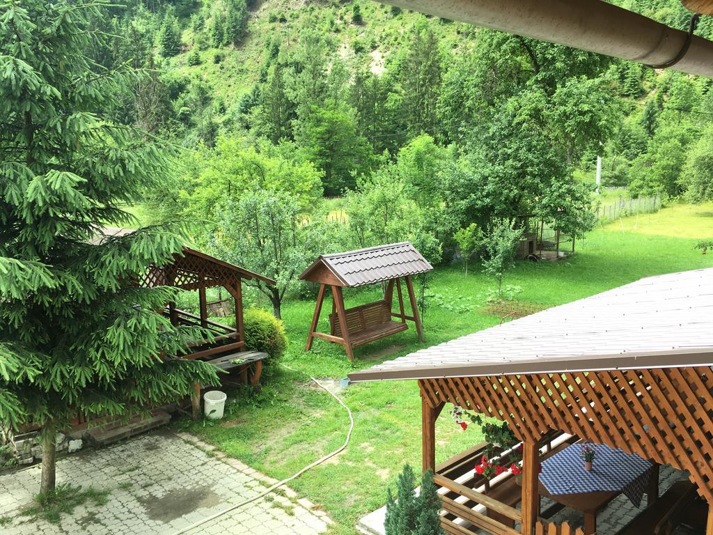 Pensiunea Felyviss Albac Bagian luar foto