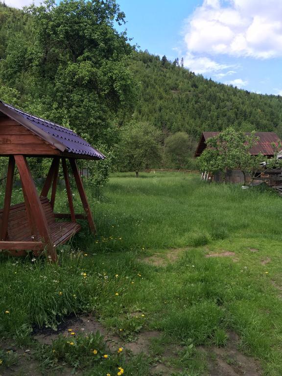 Pensiunea Felyviss Albac Bagian luar foto