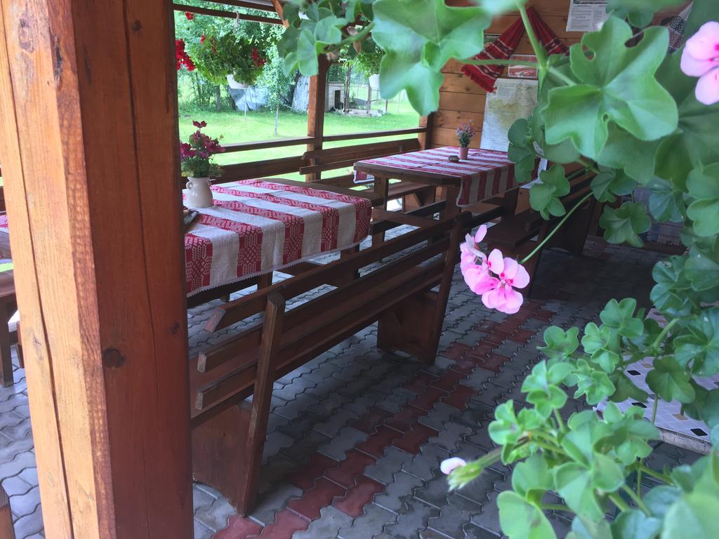 Pensiunea Felyviss Albac Bagian luar foto