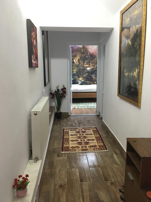 Pensiunea Felyviss Albac Bagian luar foto